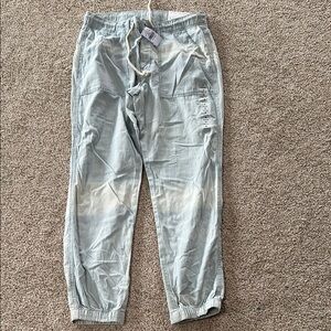 American Eagle Tomgirl Jogger 6/28W